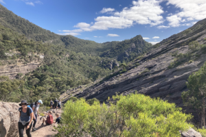 Pinnacle Walk Expedition Grampians Peaks Walking Co